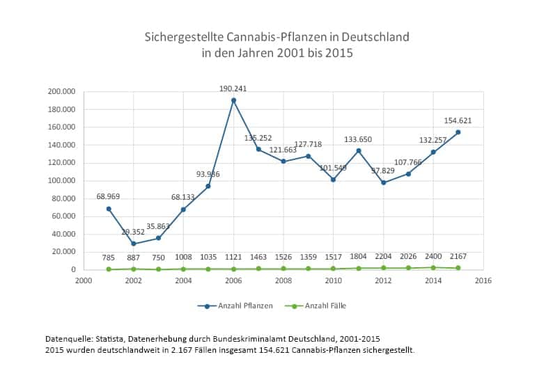 Cannabis Pflanzen Grafik