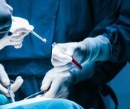 Hot Topics in der Onkologie